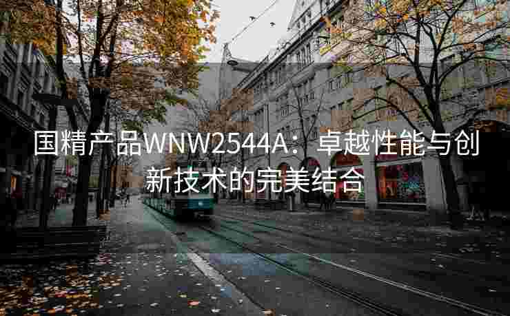 国精产品WNW2544A：卓越性能与创新技术的完美结合